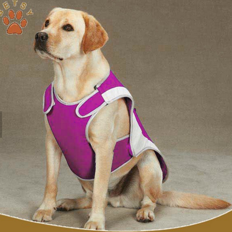 pet dog coole weste tank