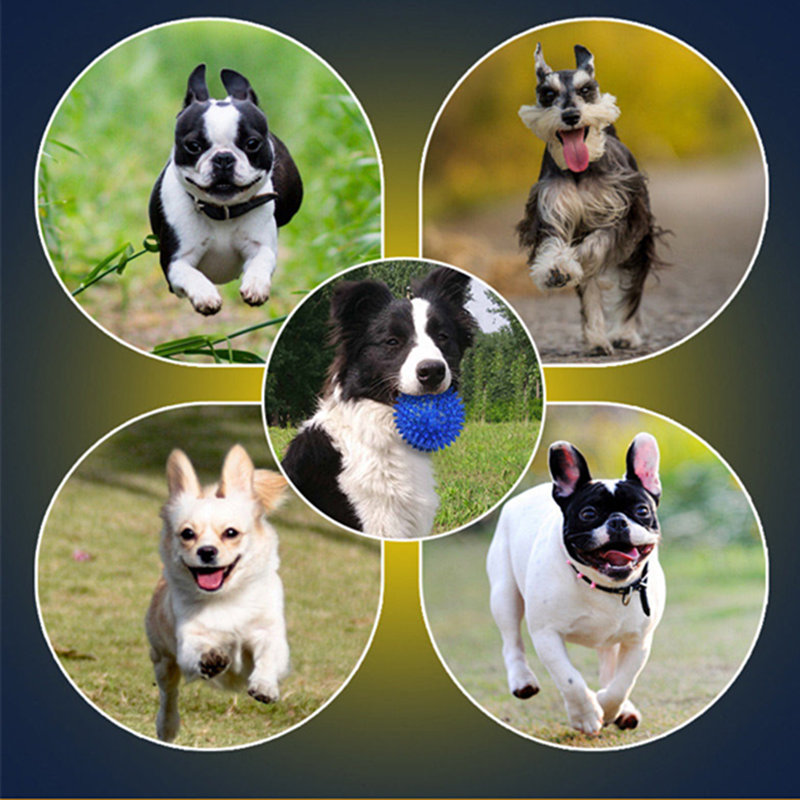 wie die zerstörerische kraft von hunden