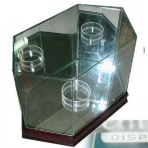 Octagon Football Glas Vitrine