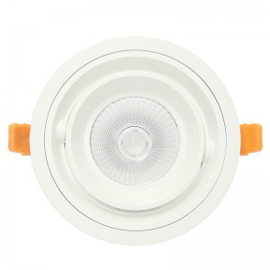Runde und quadratische LED-Deckenleuchte COB 20W 30W vertieft hinunter Licht LED-Deckenleuchte