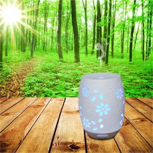 Viel anfrage beliebte einzigartige keramik aromaöl diffusor luftbefeuchter