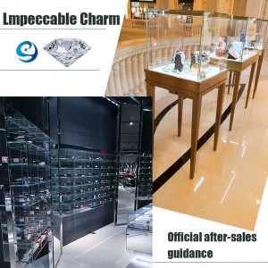 sie wurde schmuck zeigen luxus - vitrine und schaufenster für schmuckladen