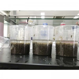 kationischen polyacrylamide preis für städtische kläranlagen