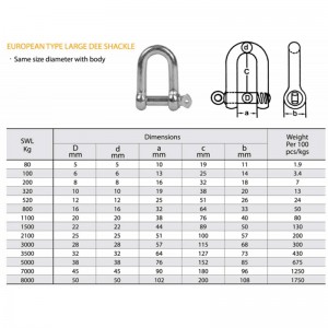 Europäische Art verzinkter großer Dee-Schäkel