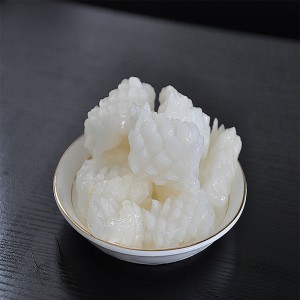 Gefrorene Tintenfischblume