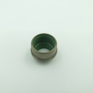 Hochtemperaturbeständige Öldichtung aus Viton-Gummi