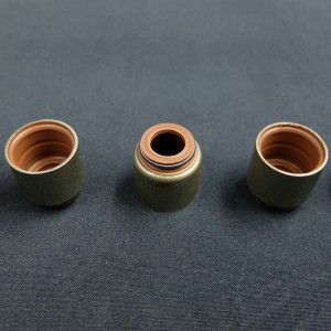 China Supplier Ventilschaft-Öldichtung für Renault-Autos