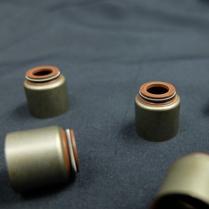 China Supplier Ventilschaft-Öldichtung für Renault-Autos