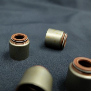 Sonderanfertigungen Auto-Gummiteile Ventilschaft-Öldichtung SKF-Öldichtung für LKW-Motoren