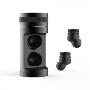 WS-36-Smart Voice Translator Ohrhörer mit Ladebox Drahtloser Kopfhörer Dual Mic Translator für das Reisegeschäft