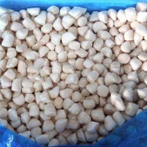 Gefrorenes Bay Scallops-Fleisch