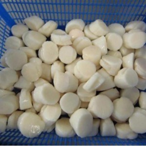 Gefrorenes Seekammuschelfleisch