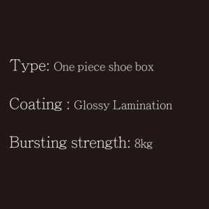 Schuhkarton-ein-Stück-Typ 2