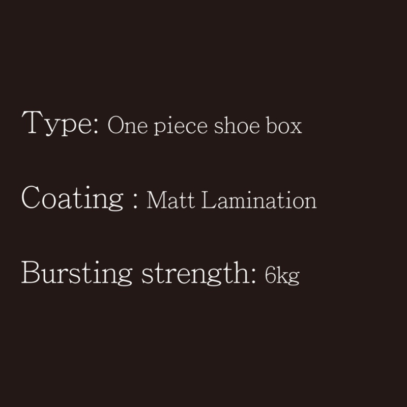 Schuhkarton Einteiler Typ6