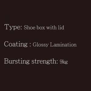 Schuhkarton mit Deckel Typ1