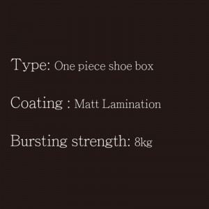 Schuhkarton Einteiler Typ5