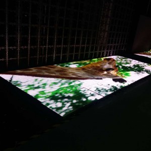 p8.928 outdoor dancefloor - bühne - / led - wand geführt.