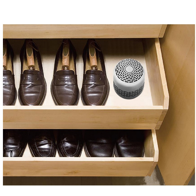 Mini-Luftreiniger für WC und Kleiderschrank, Mini-Luftfilter für Schuhschrank, Schrank und Kühlschrank, Geruchsentferner-Box zum Entfernen verschiedener Geruchsarten