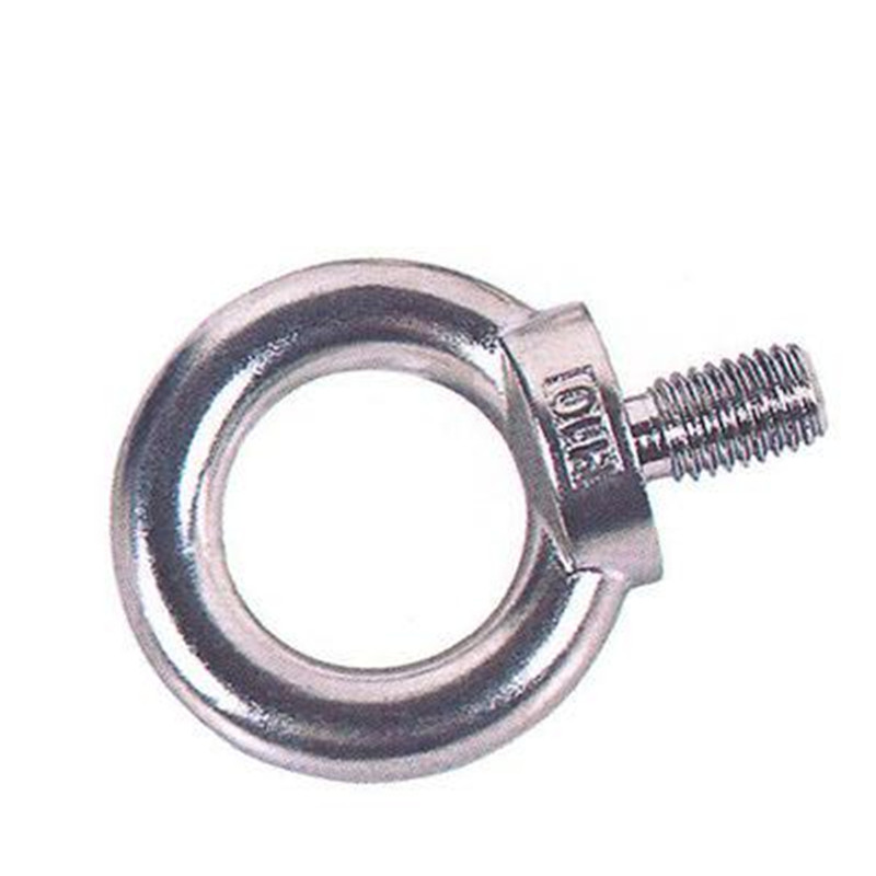 China Hersteller DIN580 Edelstahl Ringschraube