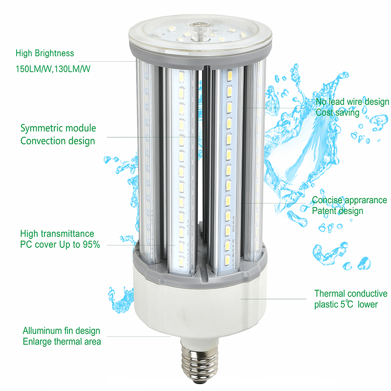 LED Maislicht