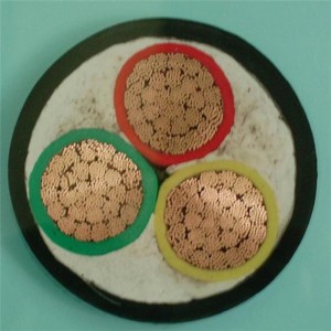 0,6 / 1kv 3 x 6mm2 LV-Stromkabel PVC-isolierter Cu-Leiter / Litze