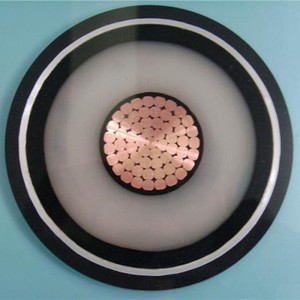 110kv Xlpe HV-Stromkabel Kompakter Segmentleiter 1000mm2