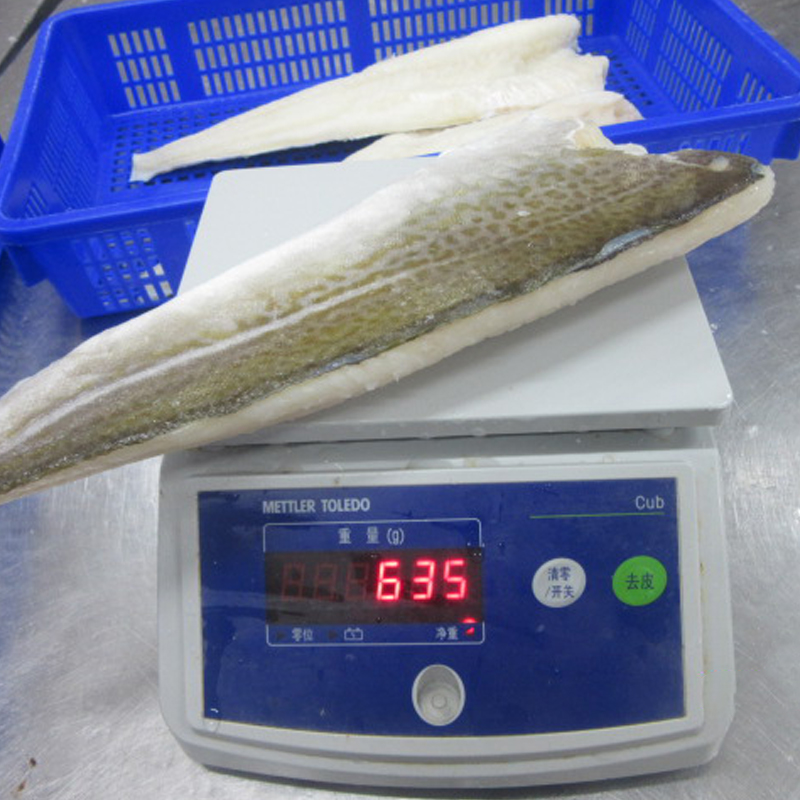 Gefrorene leichte gesalzene Fischfilets vom Atlantischen Kabeljau
