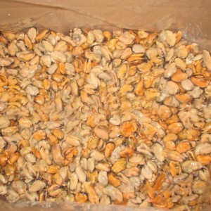 Gefrorenes gekochtes Muschelfleisch