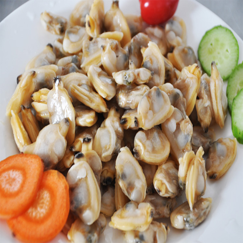 GEFRORENES GEKOCHTE CLAM FLEISCH