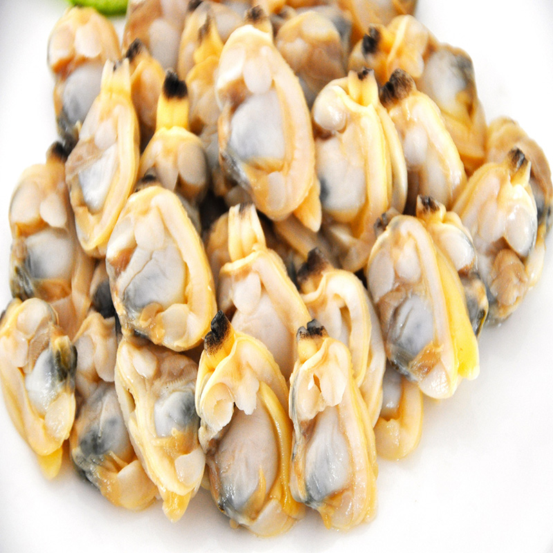 GEFRORENES GEKOCHTE CLAM FLEISCH