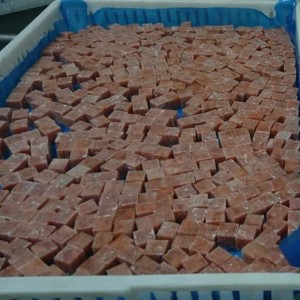 Gefrorener rosa Lachswürfel