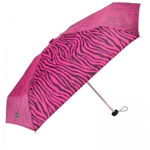 5 Falten Sie den kleinen Regenschirm der kundenspezifischen Entwurfsart der kleinen Fotografie