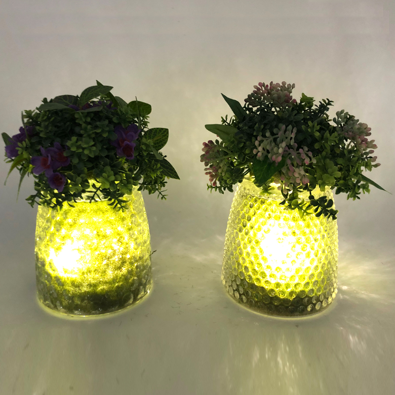 LED-Glas-Tischplatte-dekorative künstliche saftige Anlagen mit Kugel-Anzeigen-Vase