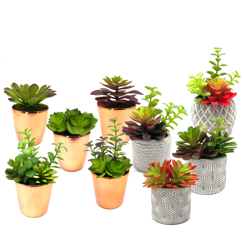 Mini künstliche saftige Pflanzen mit Topf Tischplatte dekorative Kugel Display Home Decor