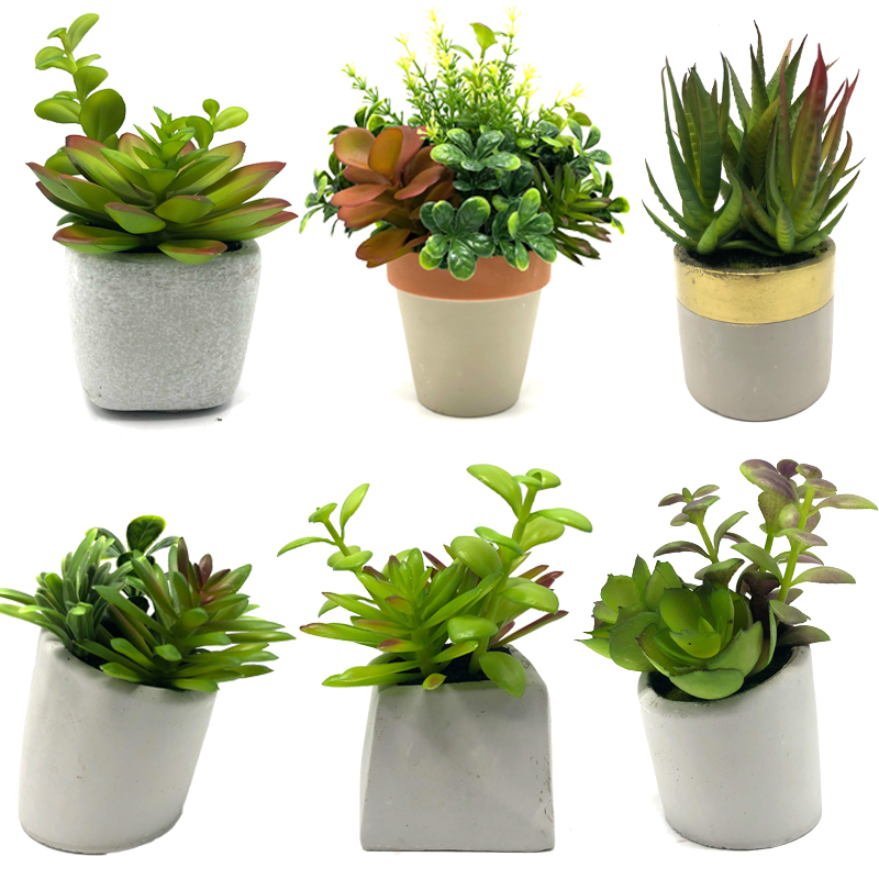 Mini künstliche saftige Pflanzen mit Topf Tischplatte dekorative Kugel Display Home Decor