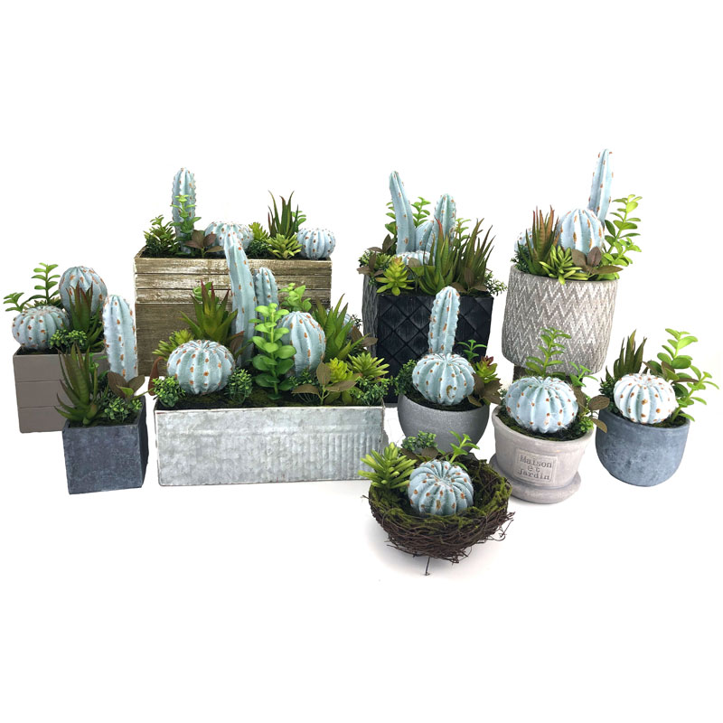 Künstlicher Kaktus eingestellt für Haus oder Büro in der dekorativen Topf-saftigen Dekoration