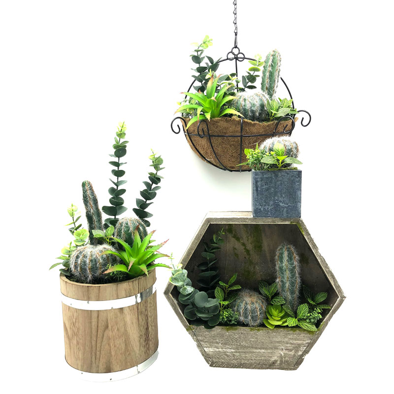 Künstlicher Kaktus eingestellt für Haus oder Büro in der dekorativen Topf-saftigen Dekoration