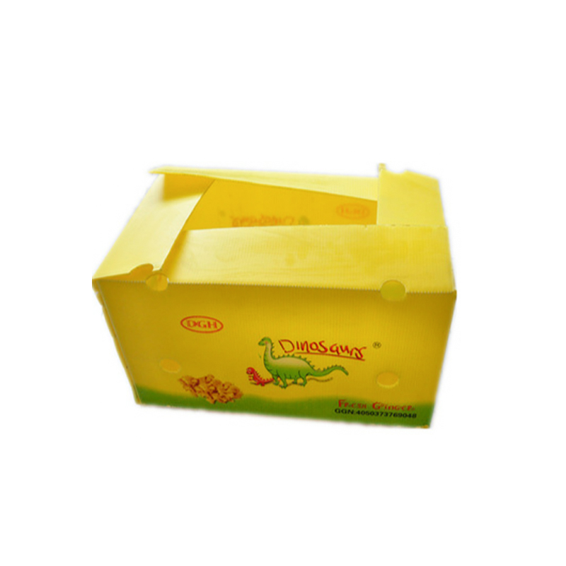 Ingwer Box