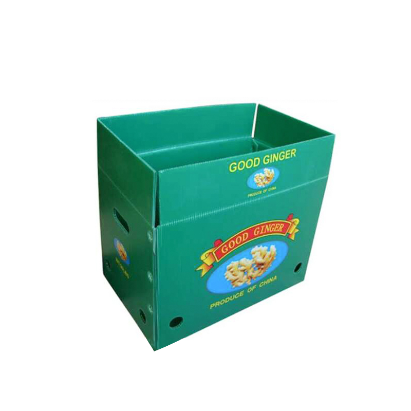 Ingwer Box