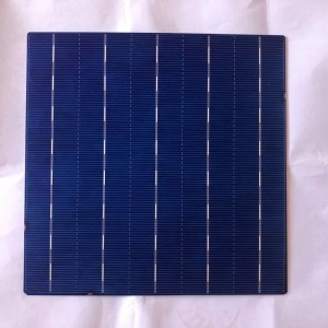 Polykristalline Zelle