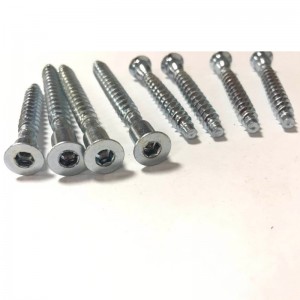 Bestätigungsschraube