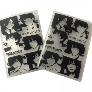 Benutzerdefiniertes PP-Fotoalbum