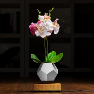 schwimmende schwimmende Pflanzentopf-Luft-Bonsai PA-0708