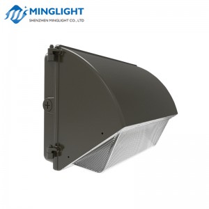 LED Wandleuchte WPB2 80W