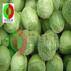 Kohlkernmaschine TX-1000