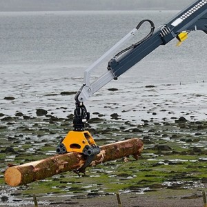 Holzhandhabungs-Portalkran