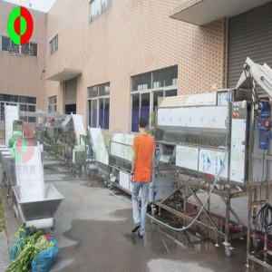 Große Produktionslinie zum Schälen und Schneiden von Gemüse und Obst