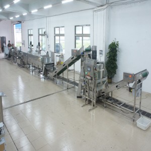 Große Porree-Tötungsfertigungsstraße