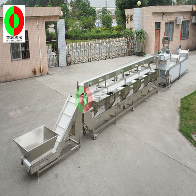 Multifunktions-Gemüsewaschmaschine / Gemüsewaschmaschine Produktionslinie / Drei-Schicht-Sortierung saubere Gemüseverarbeitungslinie