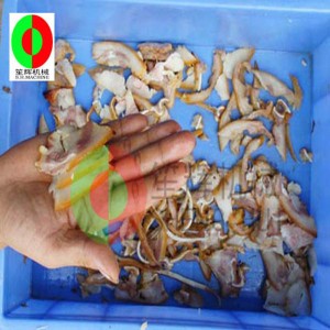 Kleine Fleischschneidemaschine / Fleischschneidemaschine / Fleischschneidemaschine / kleine vertikale Fleischschneidemaschine QE-500